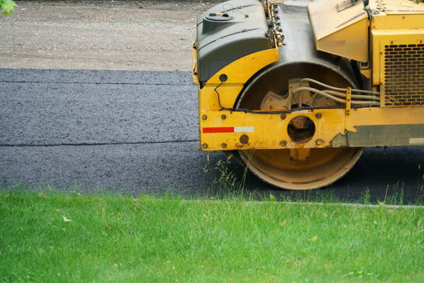 Best Driveway Snow Removal Preparation  in Remsen, IA